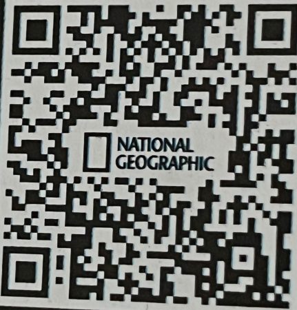 (QR koda Tutankamon)